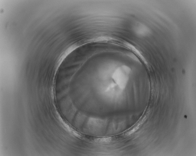 X0000073450810200608111349