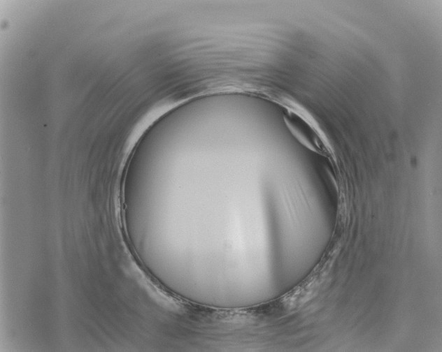 X0000073450811200608111349