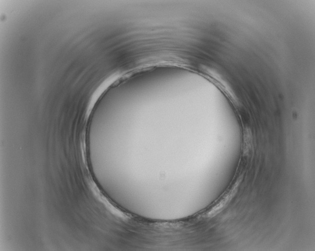 X0000073450812200608111348