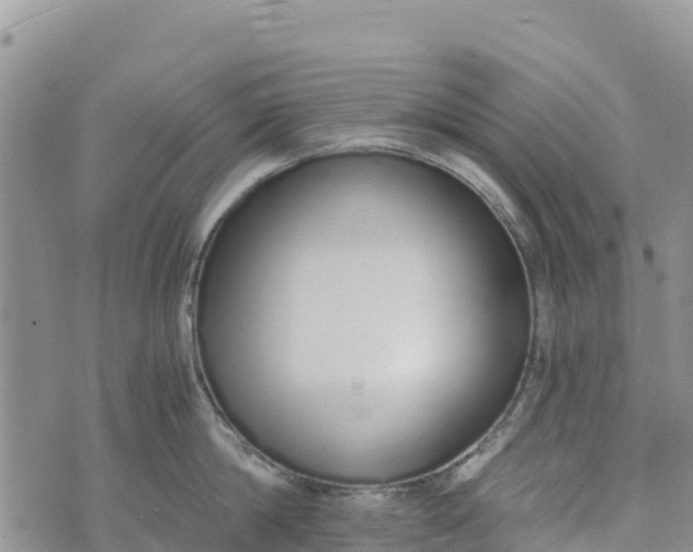 X0000073450814200608111348