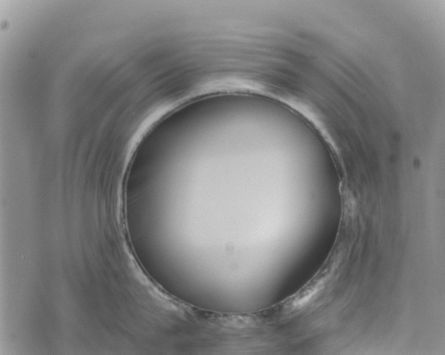 X0000073450815200608111348