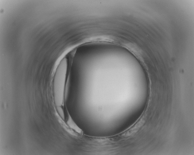 X0000073450816200608111348