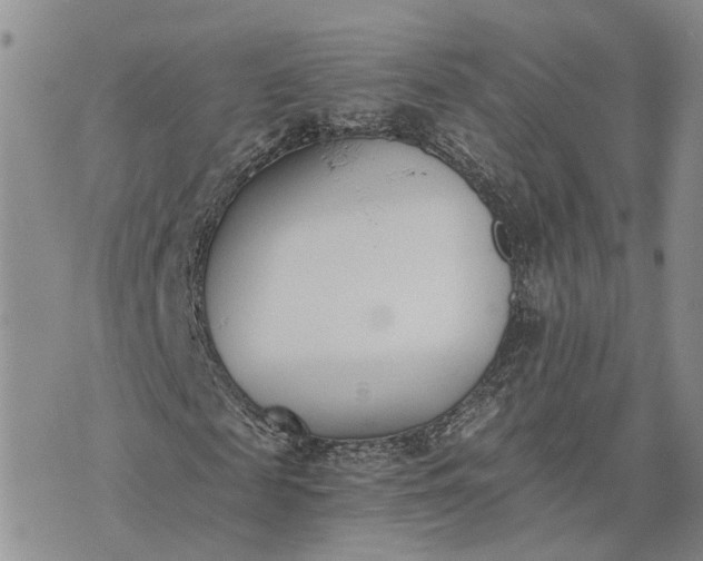 X0000073450817200608111348