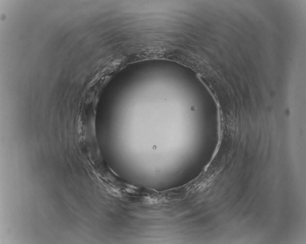 X0000073450818200608111348