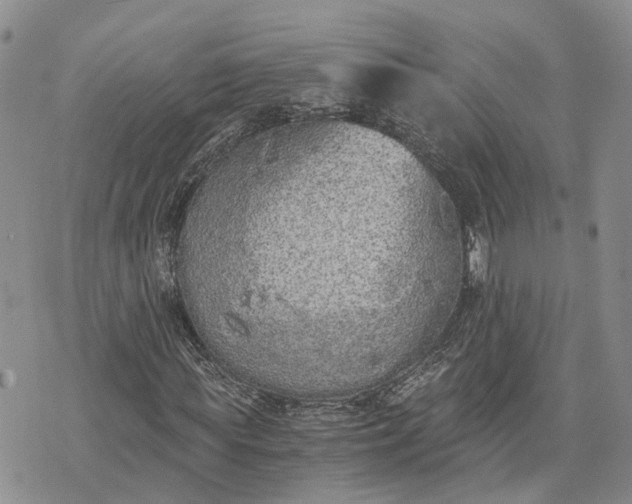 X0000073450819200608111348