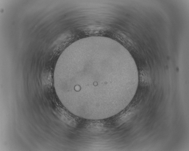 X0000073450820200608111348