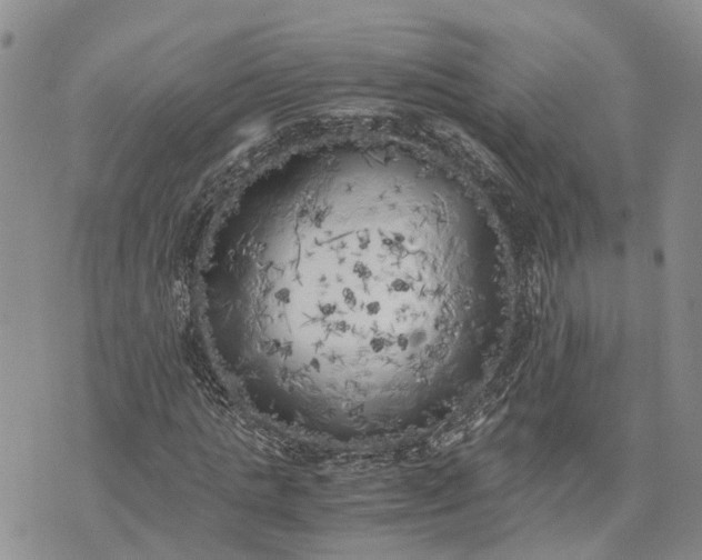 X0000073450821200608111348