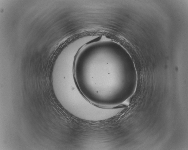 X0000073450822200608111348