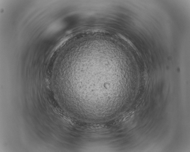 X0000073450823200608111348