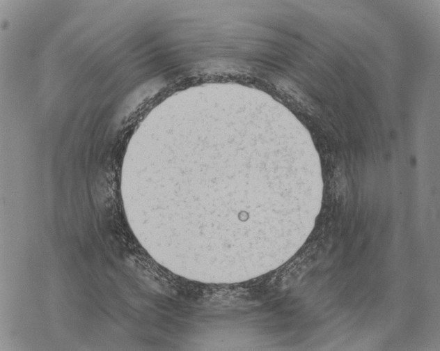 X0000073450824200608111348