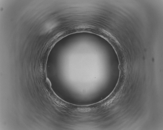 X0000073450825200608111348