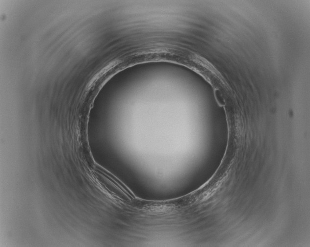 X0000073450826200608111348