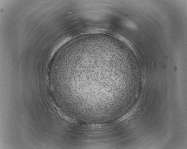 X0000073450827200608111348