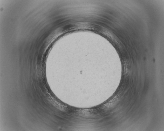 X0000073450828200608111348