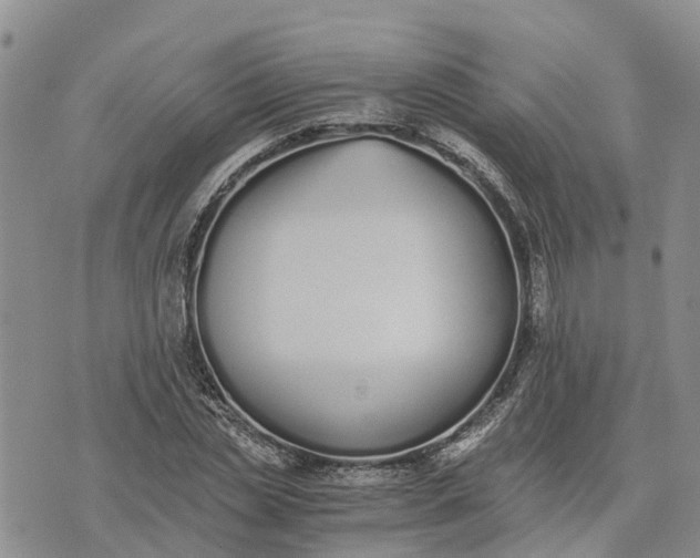 X0000073450829200608111348