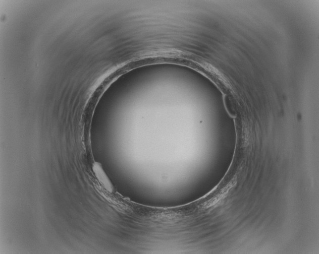 X0000073450830200608111348