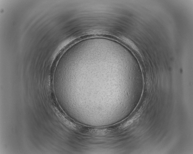 X0000073450831200608111348