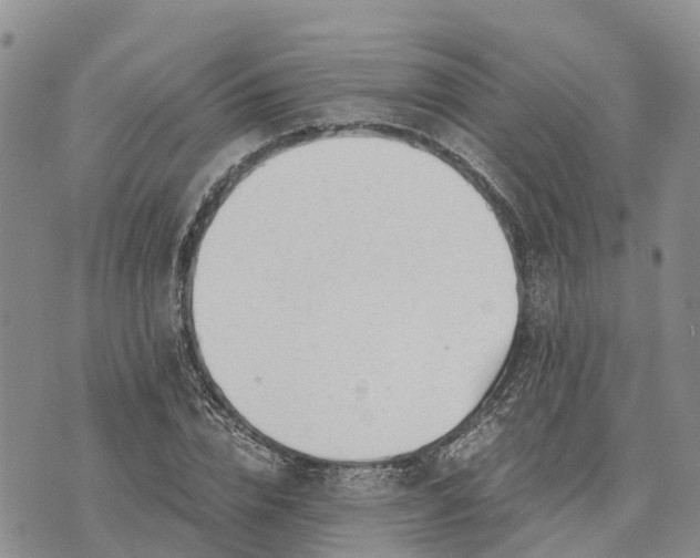 X0000073450832200608111348