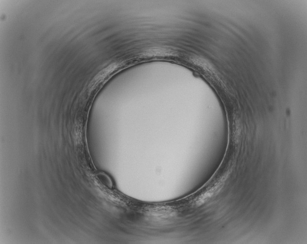 X0000073450833200608111348