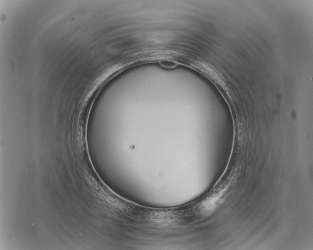 X0000073450835200608111348