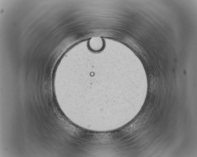 X0000073450836200608111348