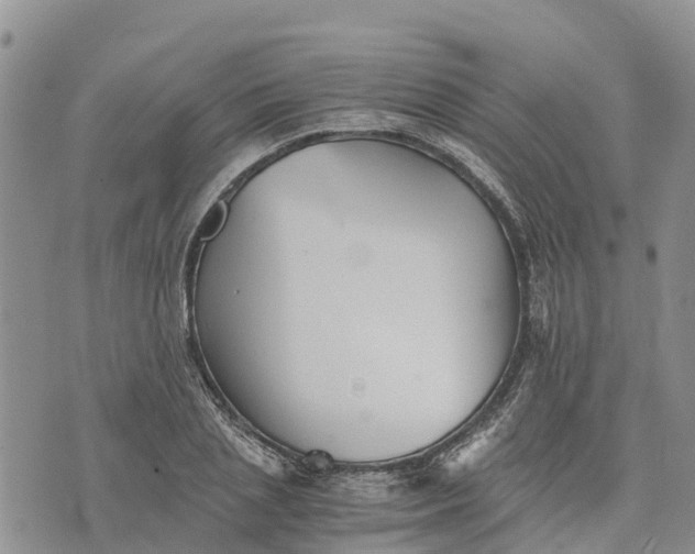 X0000073450837200608111348