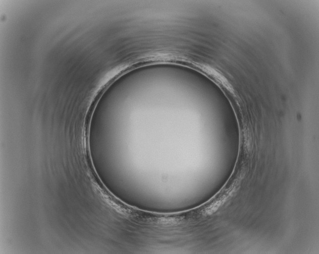 X0000073450839200608111348