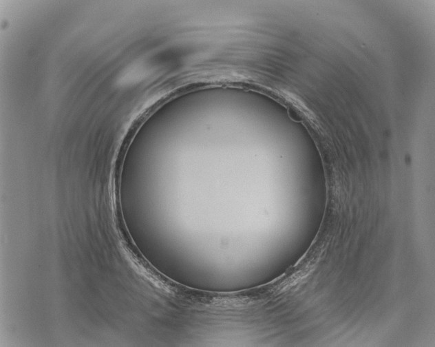 X0000073450840200608111348