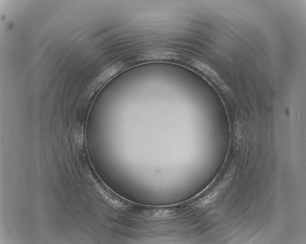 X0000073450841200608111348