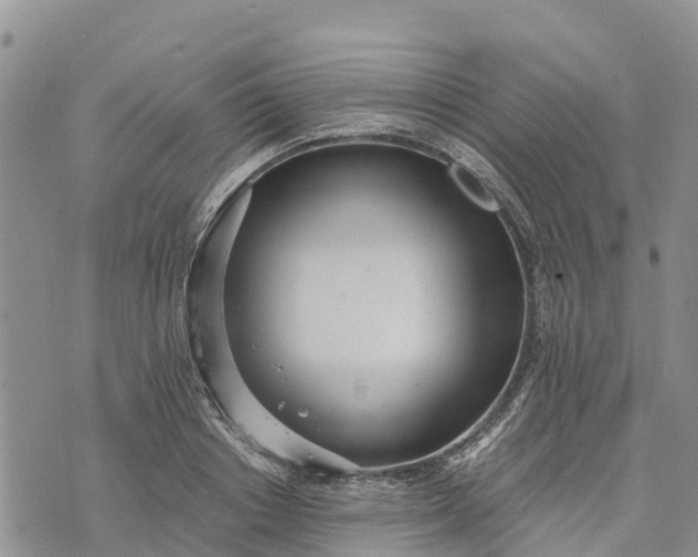 X0000073450842200608111348