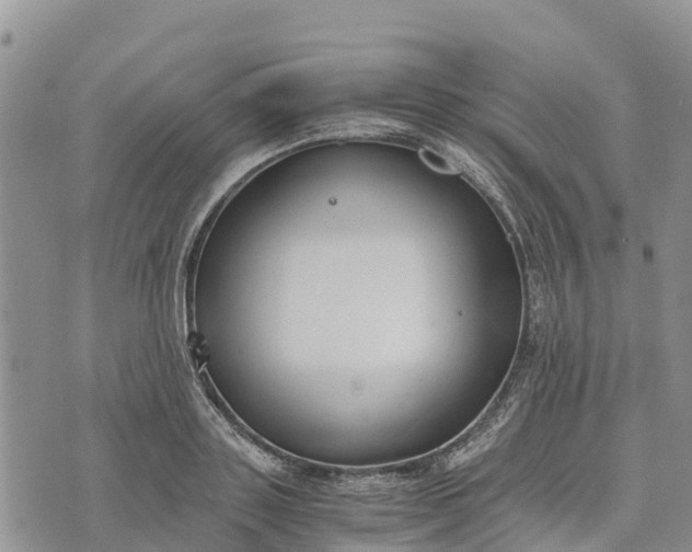 X0000073450843200608111348