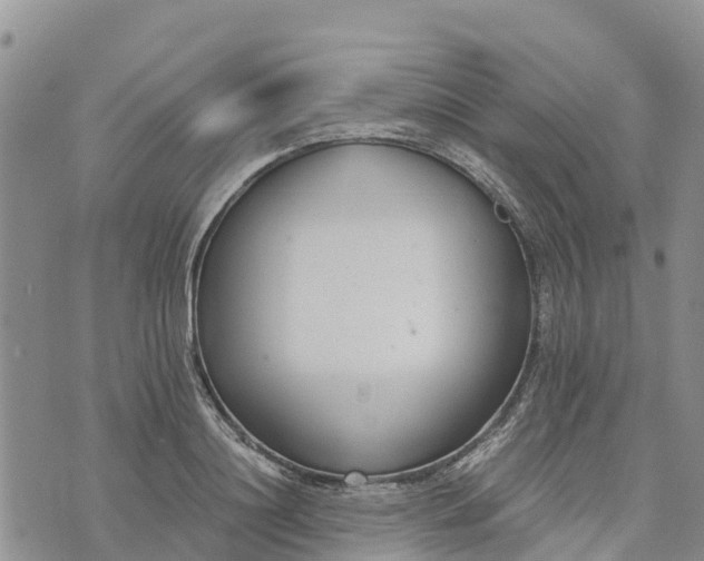 X0000073450844200608111348