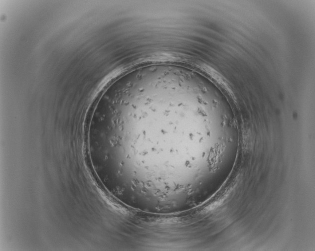 X0000073450845200608111348