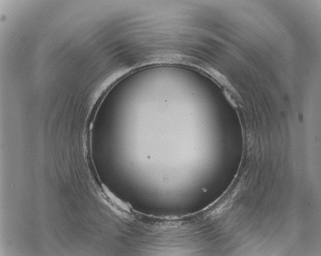 X0000073450846200608111348