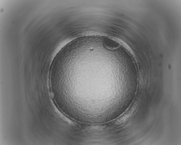 X0000073450847200608111348