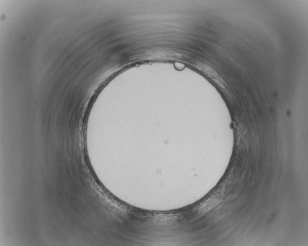 X0000073450848200608111348