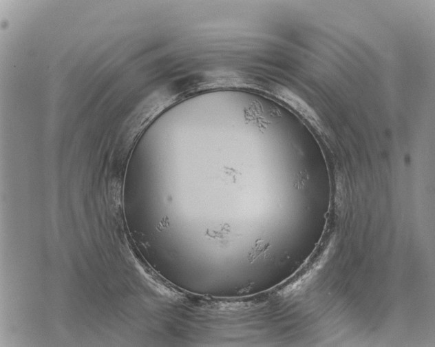 X0000073450849200608111348