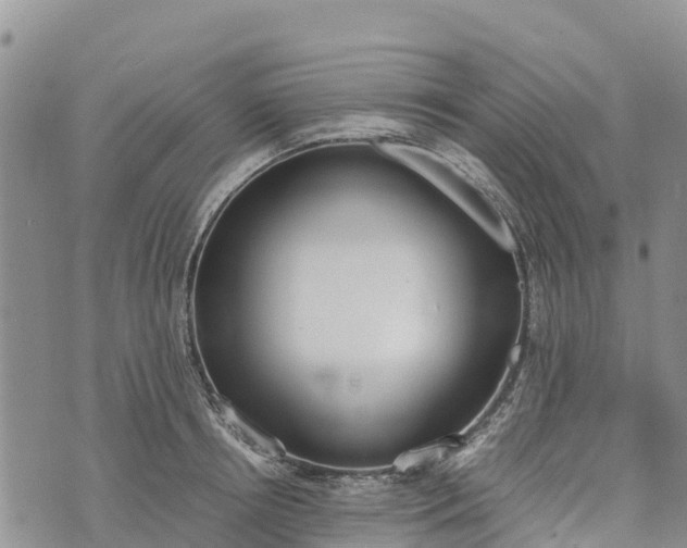 X0000073450850200608111348