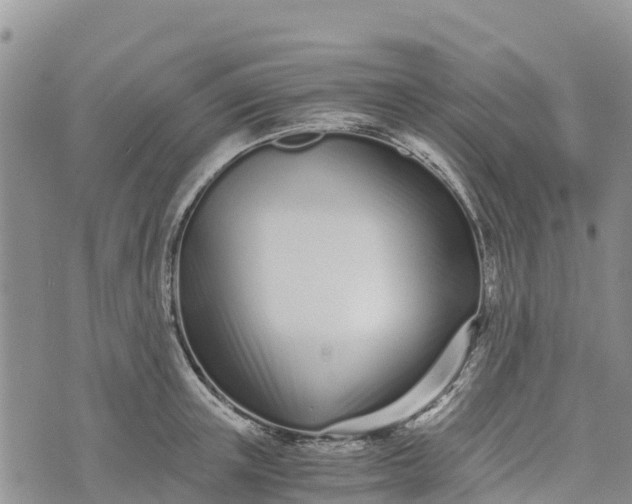 X0000073450851200608111348