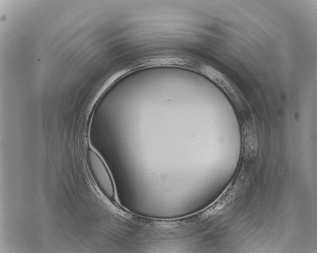 X0000073450852200608111348