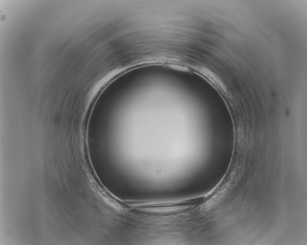 X0000073450854200608111348