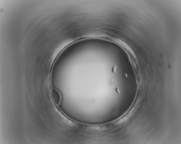 X0000073450855200608111348