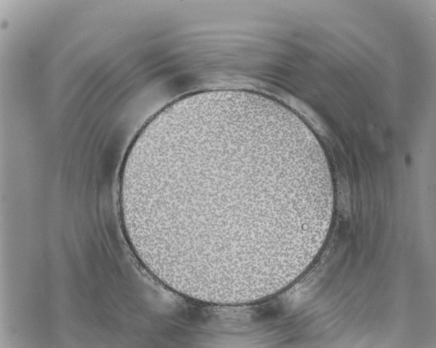 X0000073450856200608111348