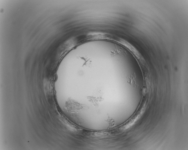 X0000073450857200608111348