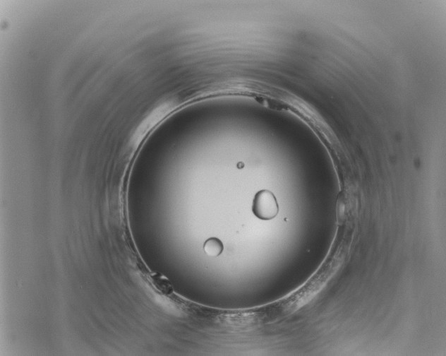 X0000073450858200608111348