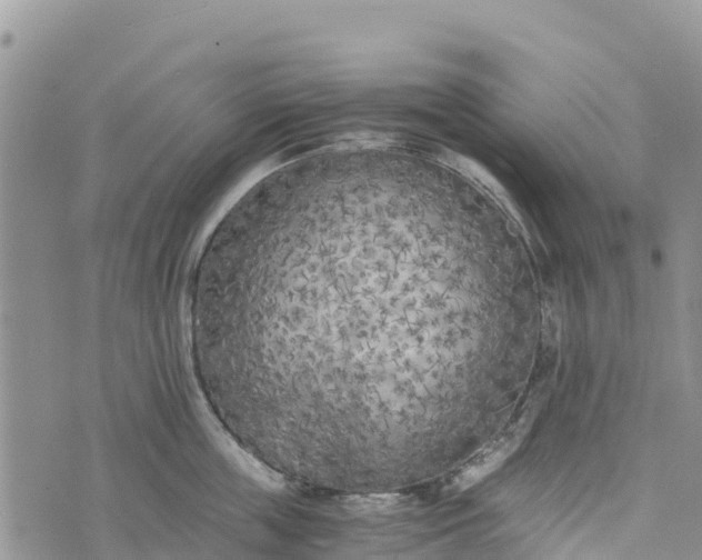 X0000073450859200608111348