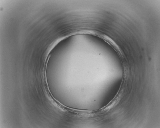 X0000073450860200608111348