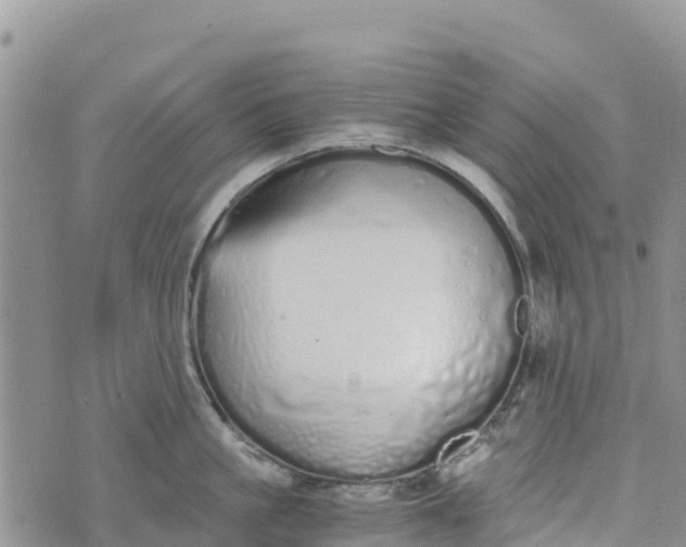 X0000073450861200608111348