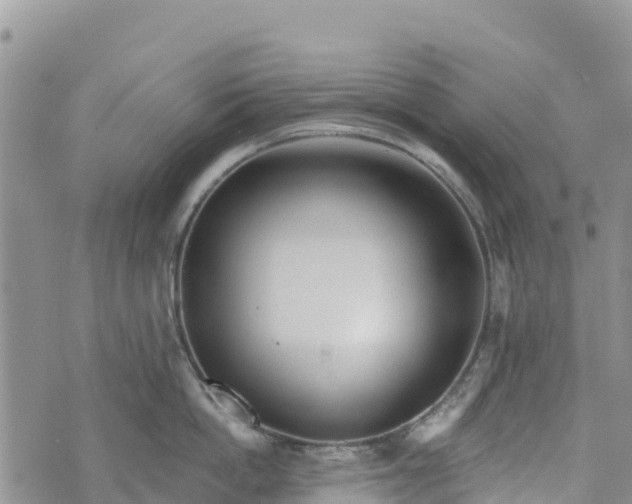 X0000073450862200608111348