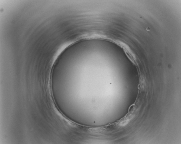 X0000073450863200608111348